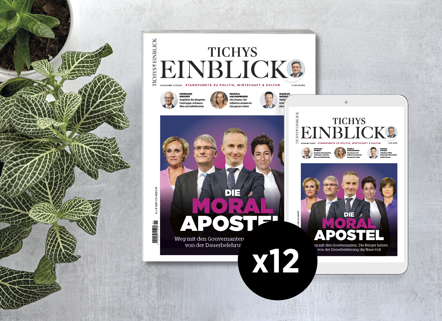 12 Ausgaben Tichys Einblick (Jahresabo - print und digital)