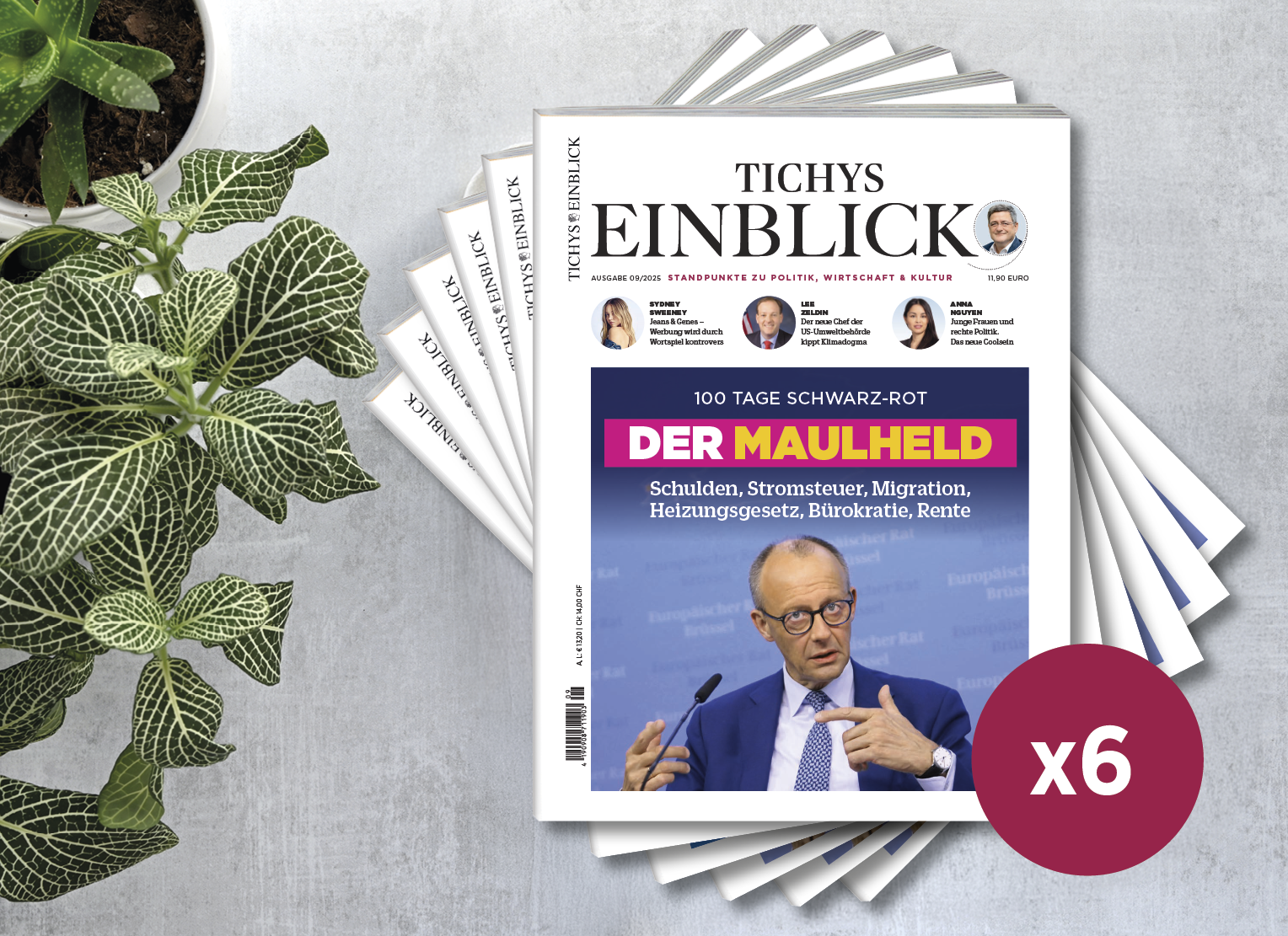 6 Ausgaben Tichys Einblick (Halbjahresbezug - print)