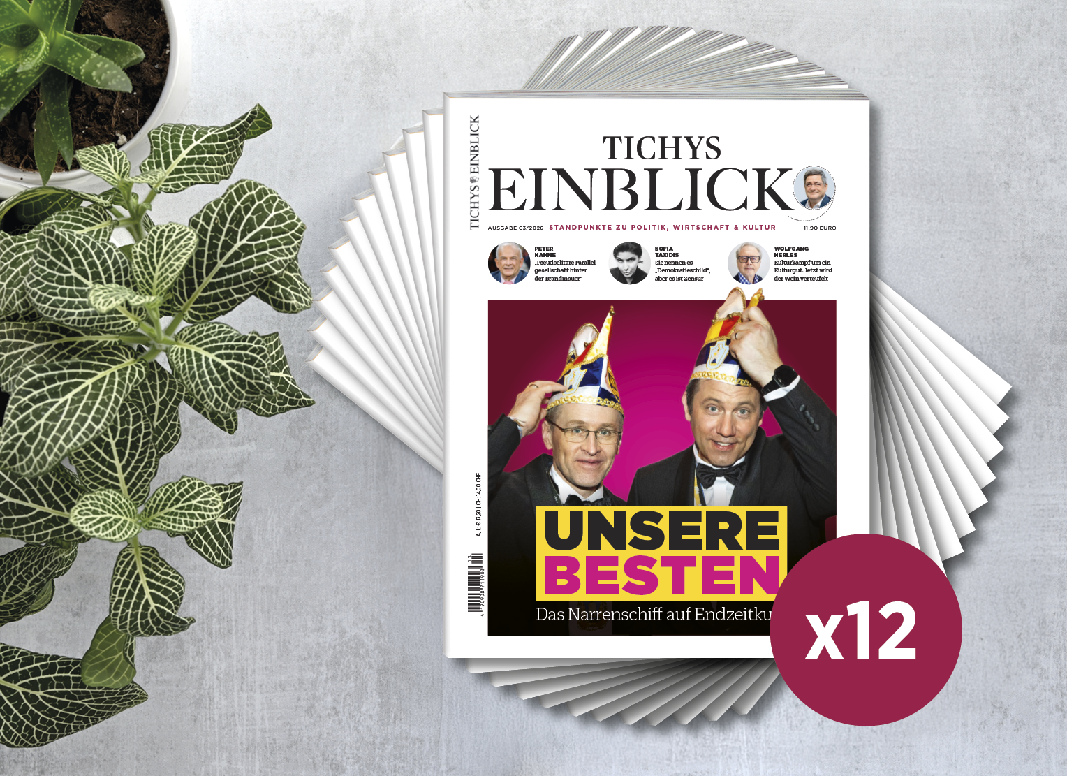 12 Ausgaben Tichys Einblick (Jahresabo - print)