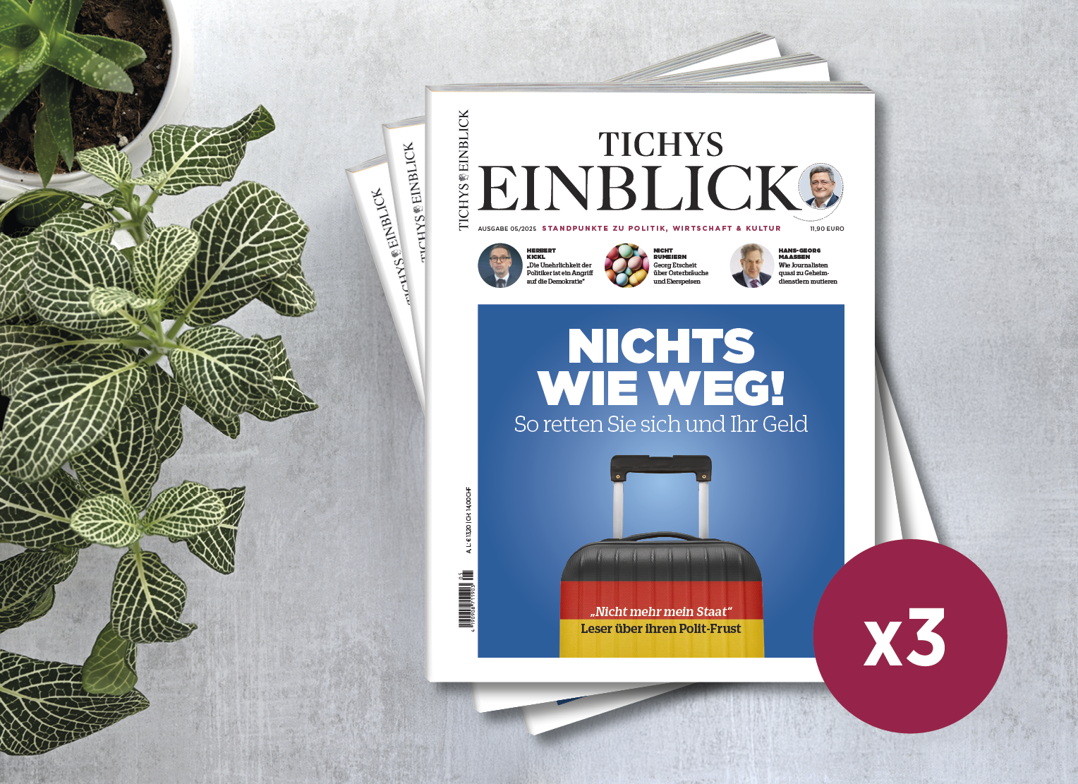 Tichys Einblick Probe-Lesen (Drei Ausgaben - print)